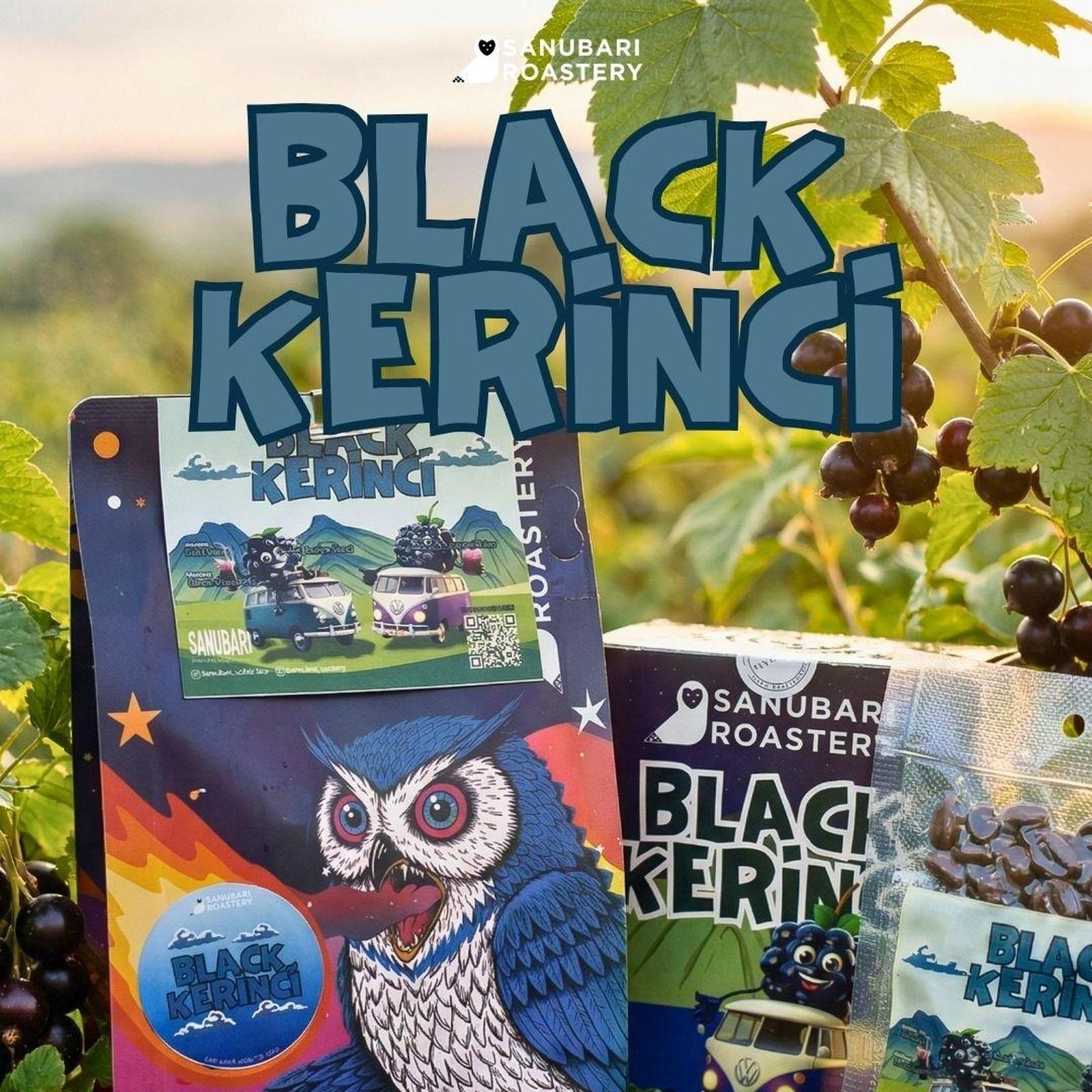 Arabika Black Kerinci Natural Anaero Co-Ferment