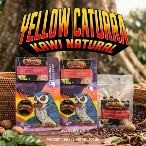 YELLOW CATURA KAWI NATURAL Arabica Filter Coffee Roast Bean